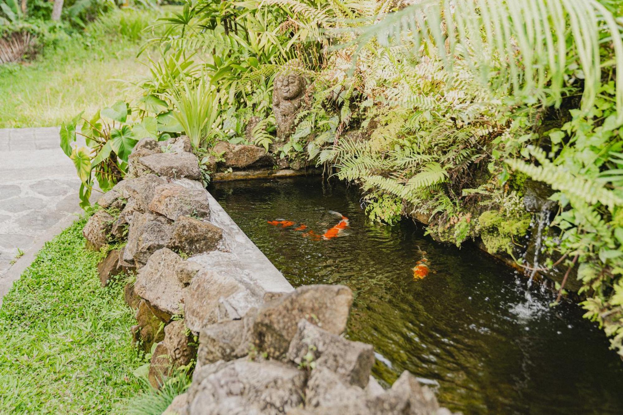 Sweet Orange Pondok Ubud Exterior foto